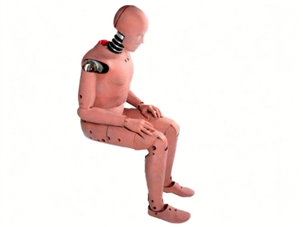 Crash Test Dummy (Chinese Anthropometric Data)